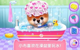 小布动画游戏,探索无限乐趣(图1) 小布动画游戏,探索无限乐趣(图1)