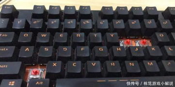 老板游戏键盘,打造极致游戏体验(图2) 老板游戏键盘,打造极致游戏体验(图2)