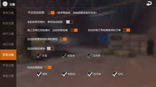 pubg代替游戏,pubg游戏中的生存挑战与竞技激情(图2)