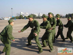 倒鹰游戏,挑战极限的智慧竞技之旅(图3)