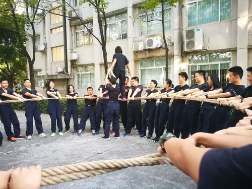 游戏踩绳子,挑战极限的踩绳游戏体验(图1) 游戏踩绳子,挑战极限的踩绳游戏体验(图1)