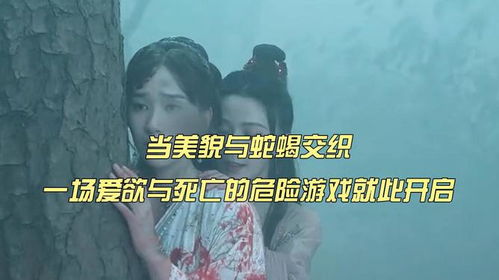 爱欲游戏,一场探索人性深处的游戏之旅(图1) 爱欲游戏,一场探索人性深处的游戏之旅(图1)