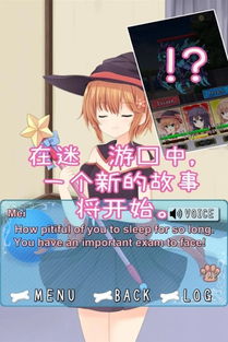 少女犬游戏,梦幻冒险之旅(图3) 少女犬游戏,梦幻冒险之旅(图3)