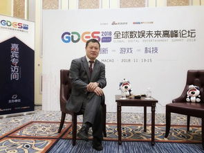 游戏副总,揭秘行业幕后英雄的传奇故事(图1)