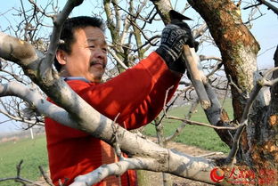 刮树皮游戏,揭秘古老传统中的智慧与乐趣(图3) 刮树皮游戏,揭秘古老传统中的智慧与乐趣(图3)