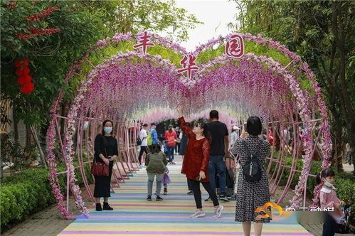丰华游戏,引领行业潮流的创新之作(图2)