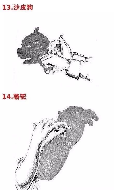 手影戏游戏,手影戏游戏魅力探秘(图1) 手影戏游戏,手影戏游戏魅力探秘(图1)