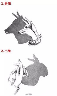 手影戏游戏,手影戏游戏魅力探秘(图3) 手影戏游戏,手影戏游戏魅力探秘(图3)
