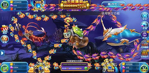 虾兵蟹将游戏,海洋奇遇记(图2) 虾兵蟹将游戏,海洋奇遇记(图2)