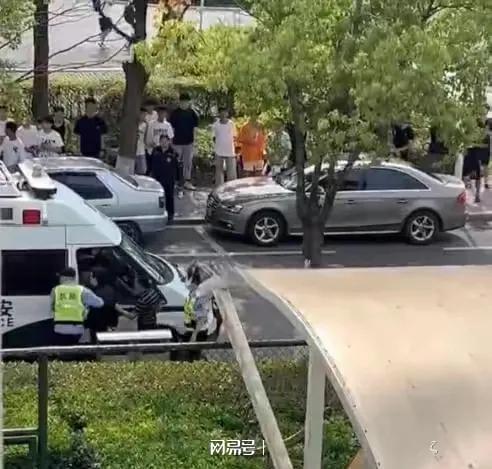 打栾游戏,感受策略魅力(图1) 打栾游戏,感受策略魅力(图1)