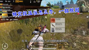 落落游戏试玩,探索未知世界的奇幻之旅(图1) 落落游戏试玩,探索未知世界的奇幻之旅(图1)