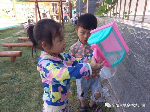 泥土游戏大班,大班幼儿创意无限的艺术之旅(图1) 泥土游戏大班,大班幼儿创意无限的艺术之旅(图1)
