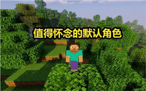 swp游戏,探索奇幻世界的冒险之旅(图2)