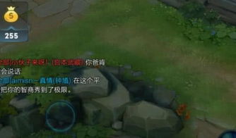 游戏不带人,虚拟冒险之旅(图1) 游戏不带人,虚拟冒险之旅(图1)