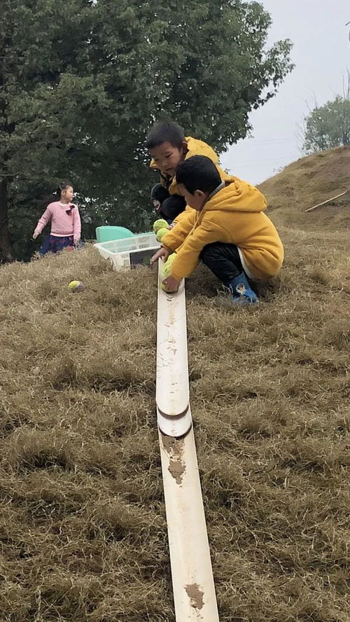 安吉游戏山坡,山坡上的童年乐园(图3) 安吉游戏山坡,山坡上的童年乐园(图3)