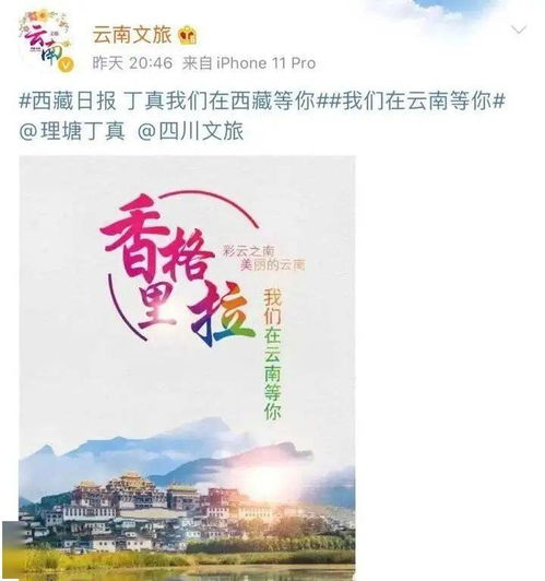 游戏丁真,游戏世界中的传奇英雄(图2)
