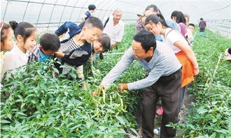 农事游戏,传承农耕文化(图3)