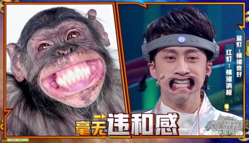 接嘴游戏,智慧碰撞的欢乐时光(图1)