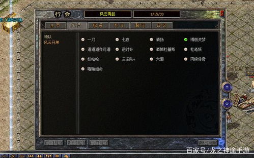 游戏行会取名,探寻游戏世界中的传奇称号(图1)