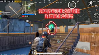 Ggd游戏,探索无尽奇幻世界的冒险之旅(图1)