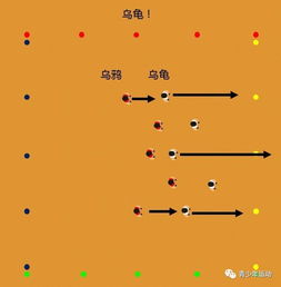 小游戏乌鸦乌龟,智慧与耐心的对决(图3) 小游戏乌鸦乌龟,智慧与耐心的对决(图3)
