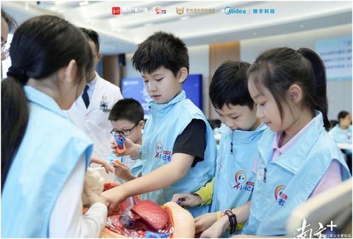 学器官游戏,学器官游戏趣味科普之旅(图3)