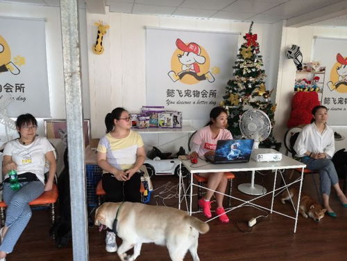 嗅闻小游戏(图2)
