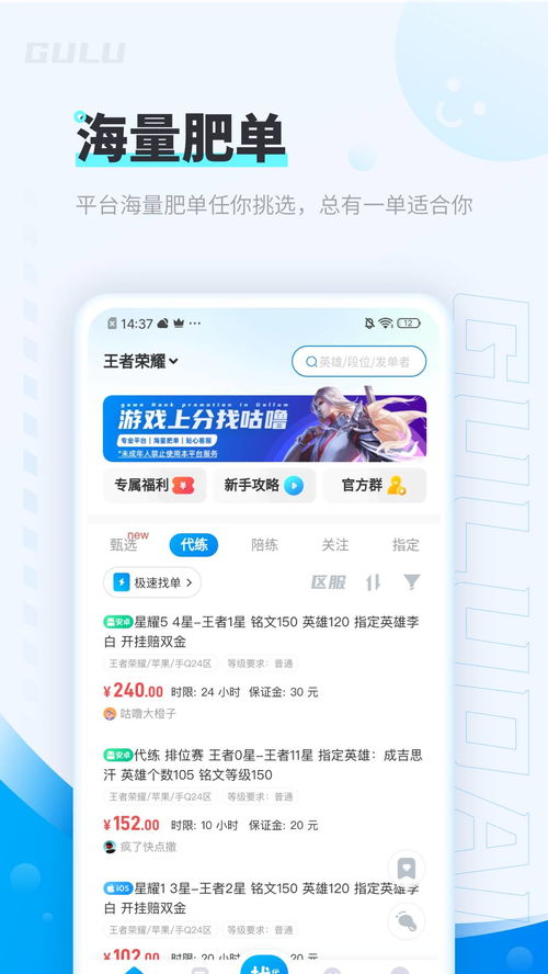 代练游戏平台有哪些,专业助力游戏高手之路(图3)
