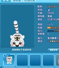 炫舞游戏被骗,揭秘网络诈骗背后的陷阱(图1)
