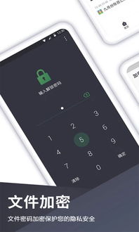 月神少女的秘密手机版 (图1)