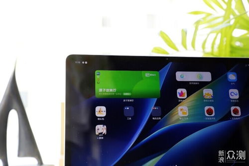 鱼猫店老板游戏官方版下载 (图3)
