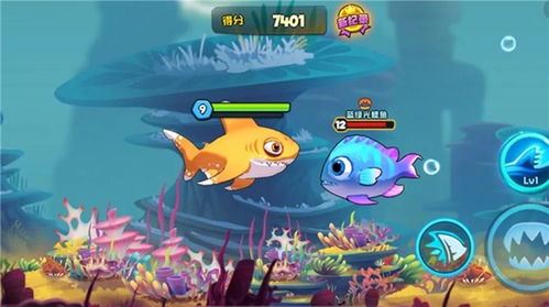 小游戏做鱼,轻松制作趣味鱼形小物(图1)