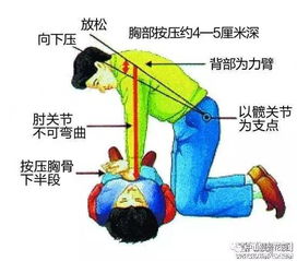 心肺类游戏,探索高效心肺类游戏体验(图2) 心肺类游戏,探索高效心肺类游戏体验(图2)