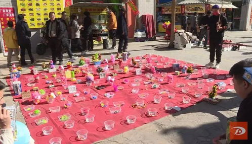 新年套圈游戏,惊喜连连!”(图3) 新年套圈游戏,惊喜连连!”(图3)