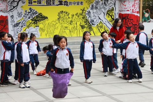 新学生游戏,新学生游戏带你开启奇幻冒险之旅(图2) 新学生游戏,新学生游戏带你开启奇幻冒险之旅(图2)
