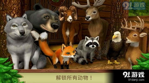 新游戏动物,新游戏动物探险之旅(图3) 新游戏动物,新游戏动物探险之旅(图3)
