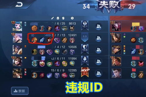 王者荣耀违规游戏行为,维护公平竞技环境(图2) 王者荣耀违规游戏行为,维护公平竞技环境(图2)
