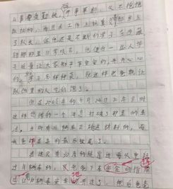 写一种游戏的作文,探索未知世界的游戏作文(图2) 写一种游戏的作文,探索未知世界的游戏作文(图2)