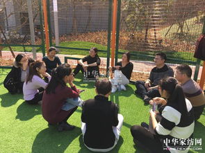 拓展小游戏室内简单,打造欢乐亲子时光的创意指南(图3)