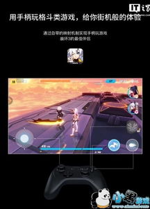 延禧攻略凤凰于飞正版游戏 (图2) 延禧攻略凤凰于飞正版游戏 (图2)