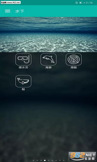 放松解压神器 (图3) 放松解压神器 (图3)