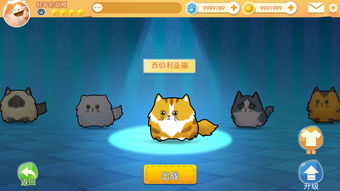 小鱼游戏猫咪,小鱼游戏中的萌宠冒险之旅(图3) 小鱼游戏猫咪,小鱼游戏中的萌宠冒险之旅(图3)