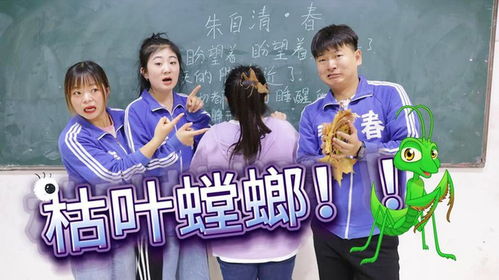 校长爱游戏,揭秘校园里的“电子奇缘”(图3) 校长爱游戏,揭秘校园里的“电子奇缘”(图3)