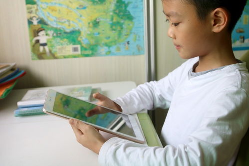 家教机如何安装游戏,家教机游戏安装指南(图3)