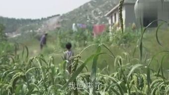 高山流水游戏视频,一场古典与现代的完美交融(图1) 高山流水游戏视频,一场古典与现代的完美交融(图1)