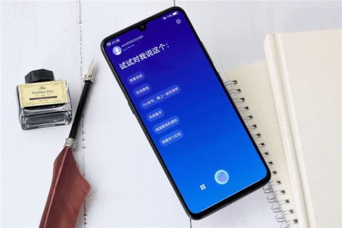vivo游戏加速器,畅享极致游戏体验的秘密武器(图2) vivo游戏加速器,畅享极致游戏体验的秘密武器(图2)