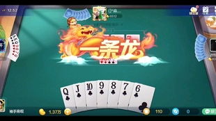 快手上我要飞游戏,挑战极限的空中冒险之旅(图2) 快手上我要飞游戏,挑战极限的空中冒险之旅(图2)