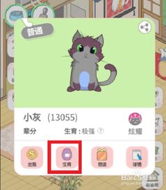 淘宝猫舍游戏攻略,解锁猫咪乐园(图3) 淘宝猫舍游戏攻略,解锁猫咪乐园(图3)