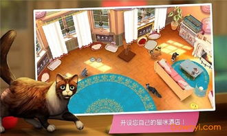 淘宝猫舍游戏攻略,解锁猫咪乐园(图2) 淘宝猫舍游戏攻略,解锁猫咪乐园(图2)