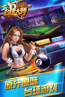 3D桌球单机中文版 (图2)